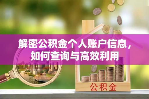 柯城解密公积金个人账户信息，如何查询与高效利用
