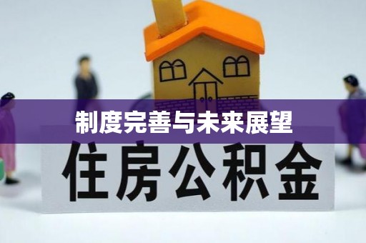 柯城制度完善与未来展望