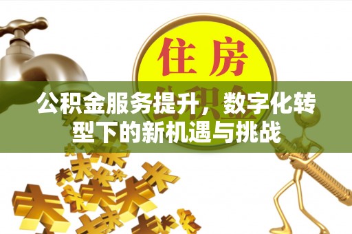 柯城公积金服务提升，数字化转型下的新机遇与挑战