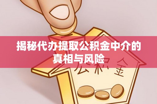 柯城揭秘代办提取公积金中介的真相与风险