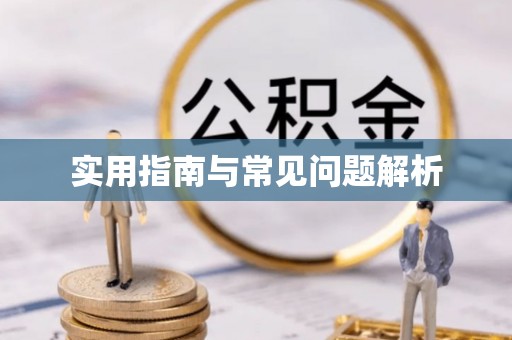 柯城实用指南与常见问题解析