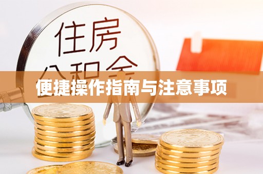 柯城便捷操作指南与注意事项